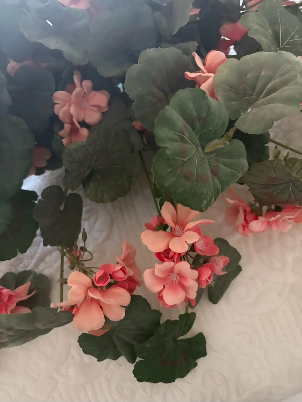 Silk Pink Begonia Urn Filler - Brand:Valerie Parr Hill